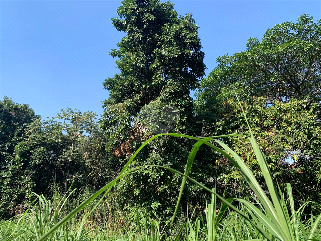 Venda Terreno São Paulo Vila Tramontano REO972323 6