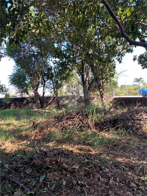 Venda Terreno São Paulo Vila Tramontano REO972327 7