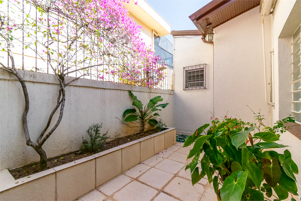 Venda Casa térrea São Paulo Planalto Paulista REO972370 11