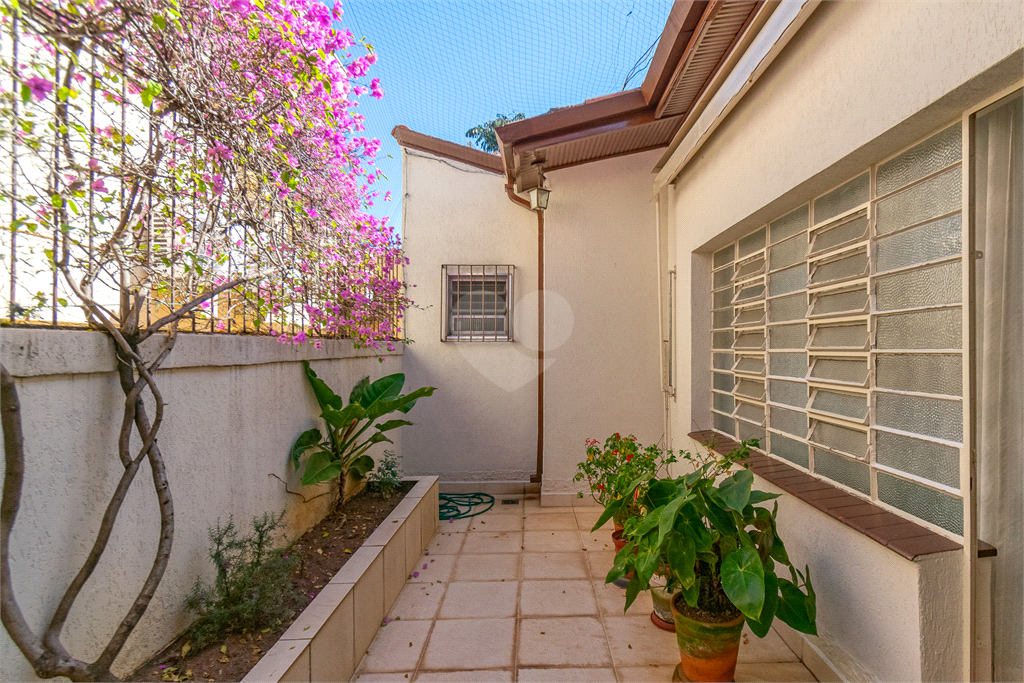 Venda Casa térrea São Paulo Planalto Paulista REO972370 36