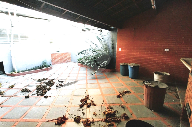 Foto REO972478