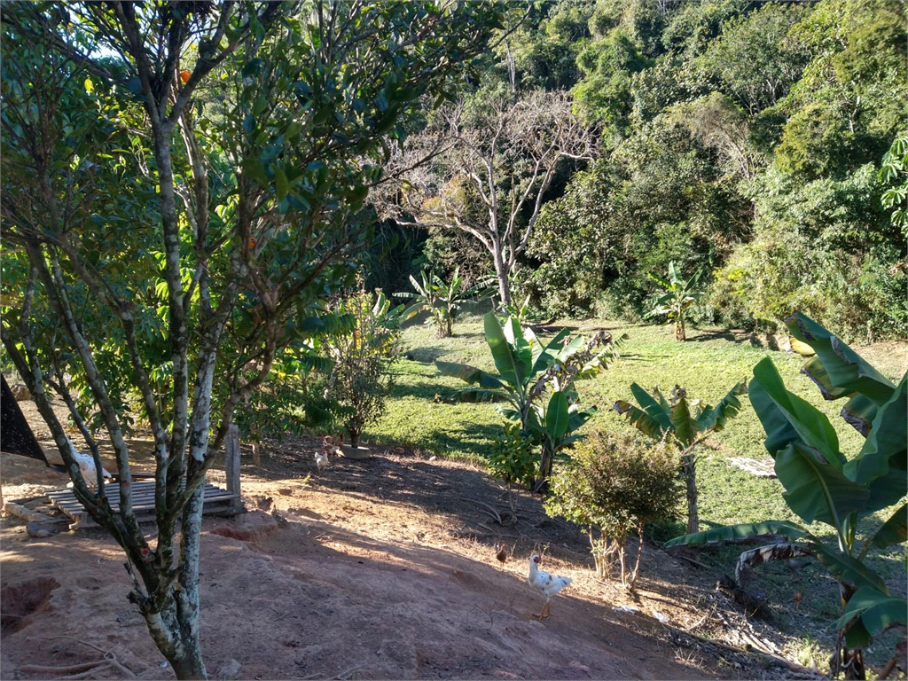 Venda Sítio Redenção Da Serra Centro REO972780 37