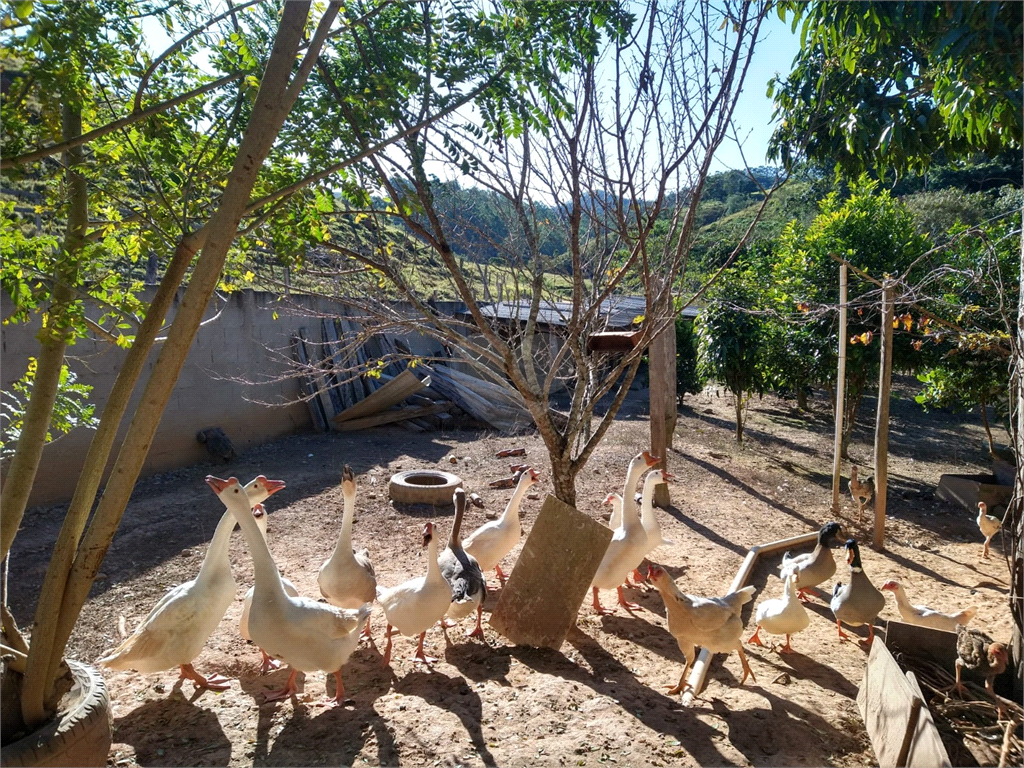 Venda Sítio Redenção Da Serra Centro REO972780 35