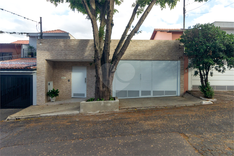 Foto REO973191