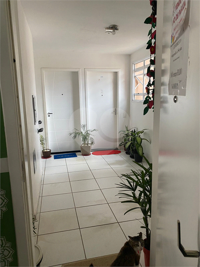 Venda Apartamento Guarulhos Jardim Centenário REO973370 14