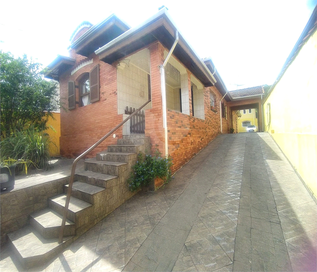 Foto REO973517