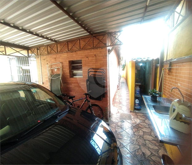 Foto REO973517