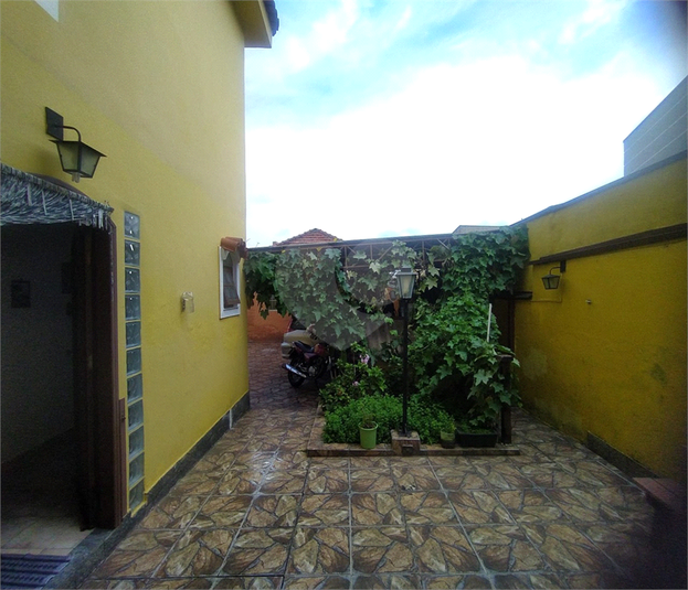 Foto REO973517