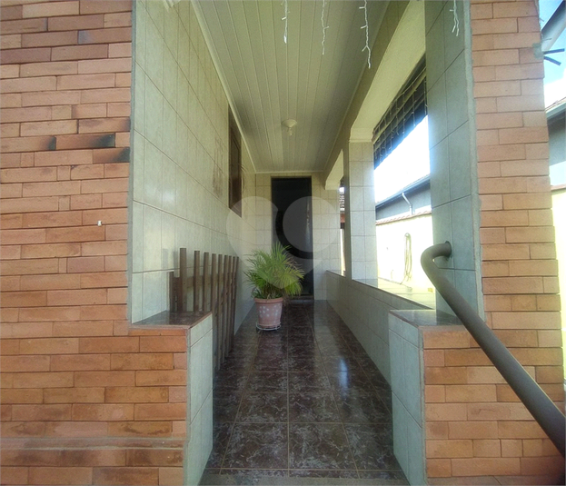 Foto REO973517