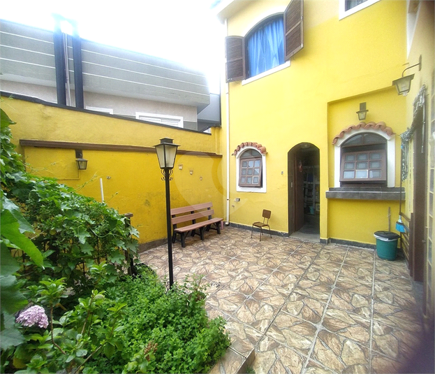 Foto REO973517