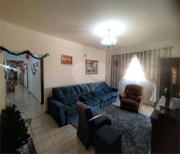 Foto REO973517