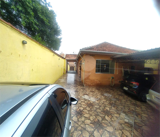Foto REO973517