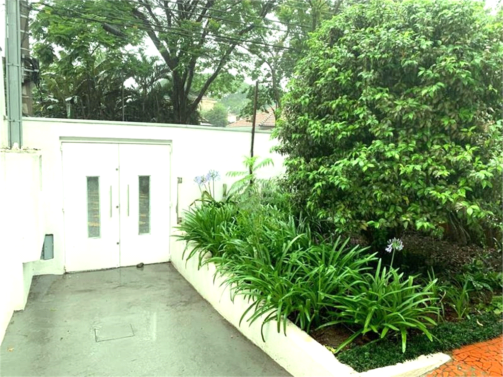 Aluguel Casa térrea São Paulo Bela Aliança REO97388 1