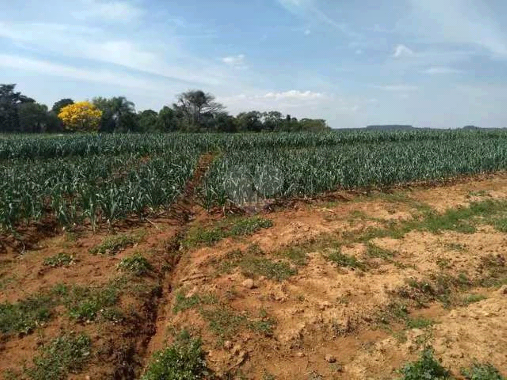 Venda Sítio Piedade Centro REO974202 10