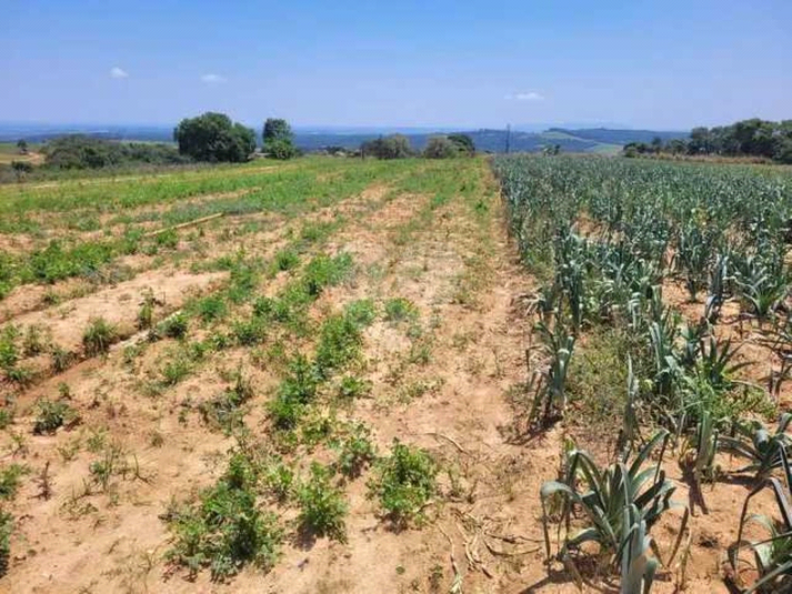 Venda Sítio Piedade Centro REO974202 11