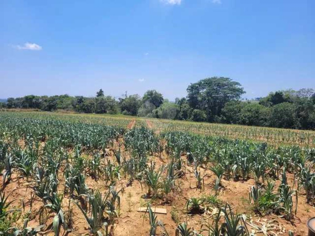 Venda Sítio Piedade Centro REO974202 3