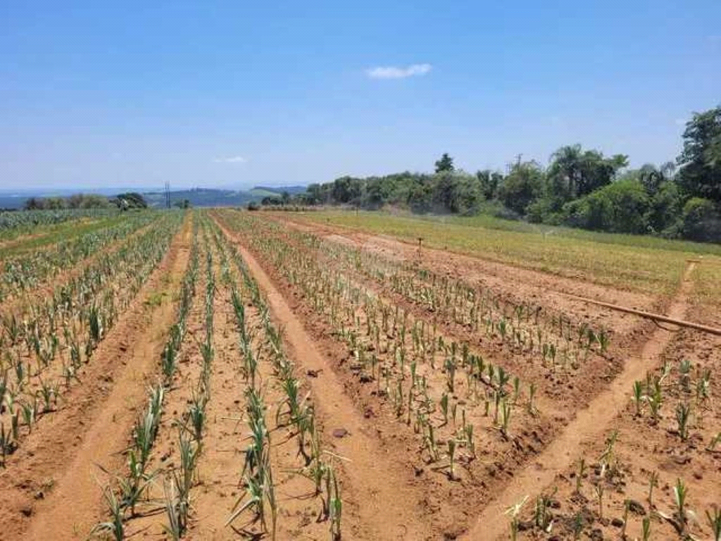 Venda Sítio Piedade Centro REO974202 14