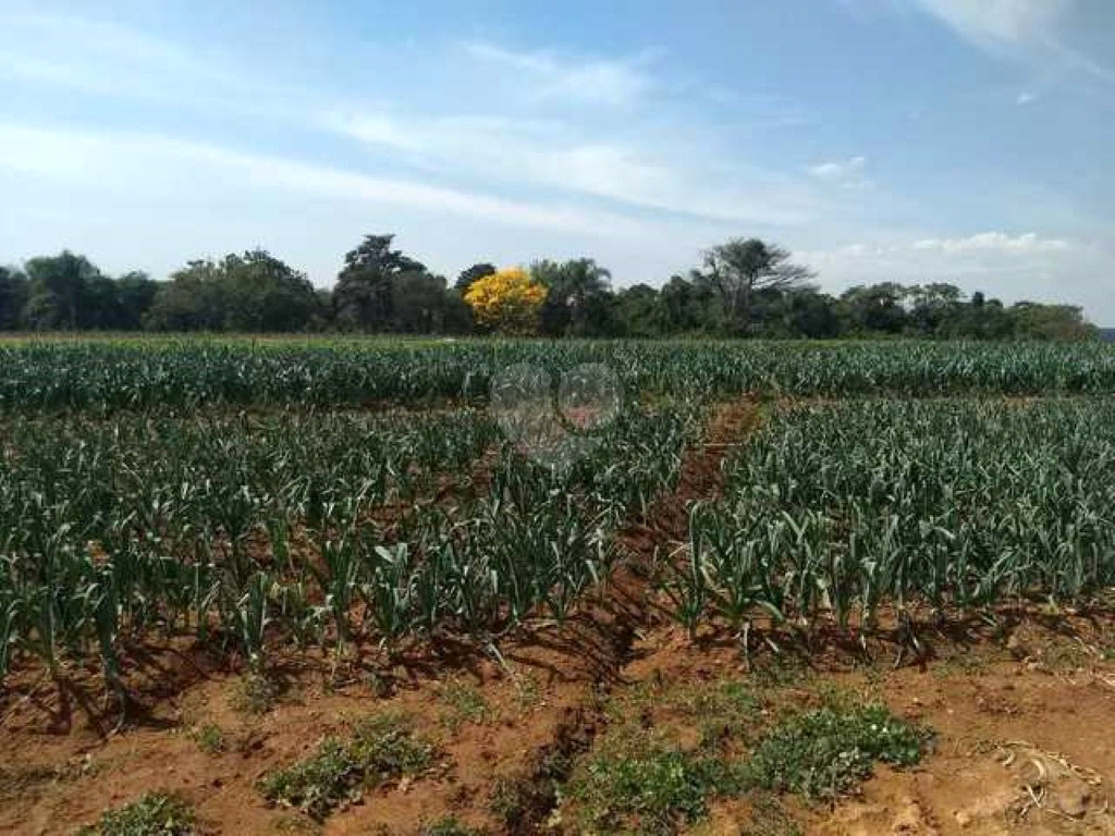 Venda Sítio Piedade Centro REO974202 6