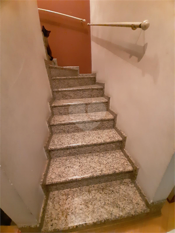 Venda Sobrado São Paulo Vila Amália (zona Norte) REO974428 28