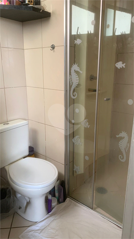 Aluguel Apartamento São Paulo Jardim Santa Terezinha (zona Leste) REO974538 3