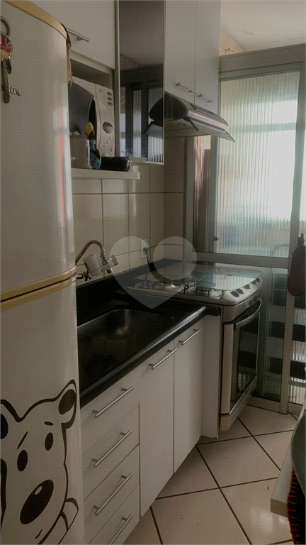 Aluguel Apartamento São Paulo Jardim Santa Terezinha (zona Leste) REO974538 16