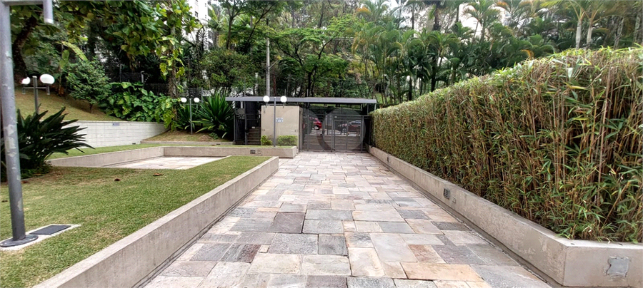 Foto REO974871