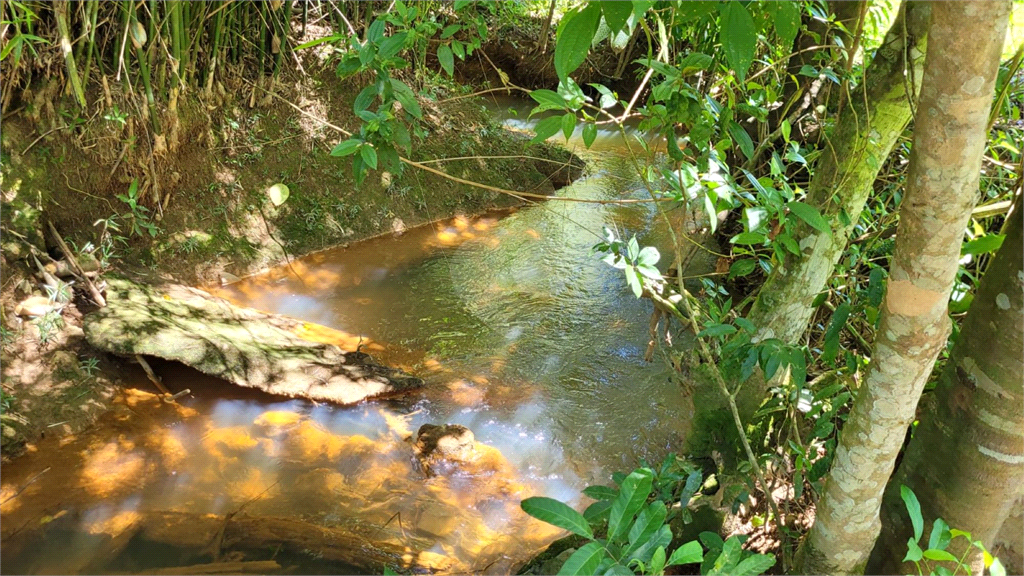 Venda Chácara Brasília Recanto Das Emas REO975346 4