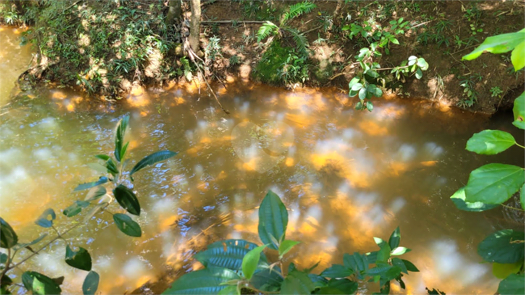 Venda Chácara Brasília Recanto Das Emas REO975346 5