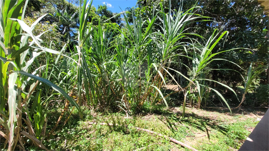 Venda Chácara Brasília Recanto Das Emas REO975346 8