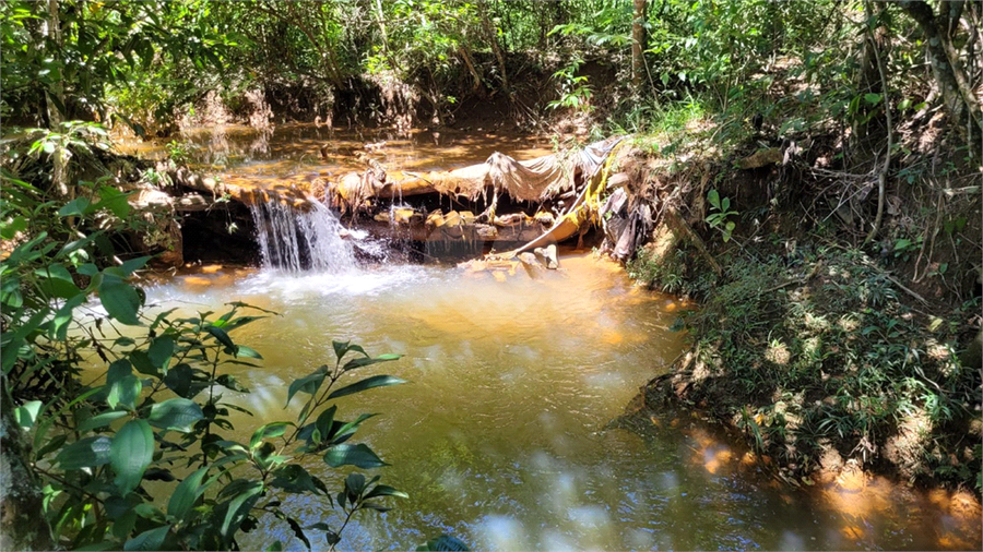 Venda Chácara Brasília Recanto Das Emas REO975346 3