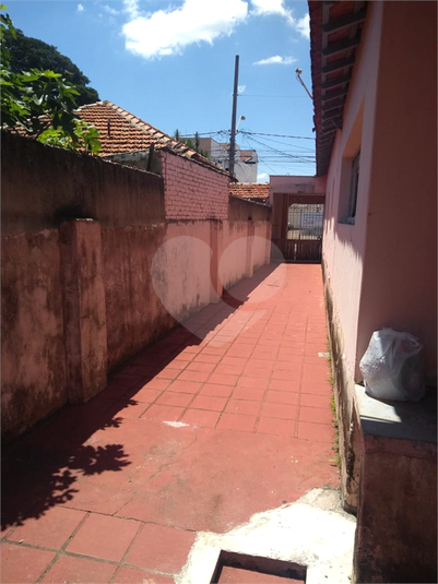 Foto REO975351