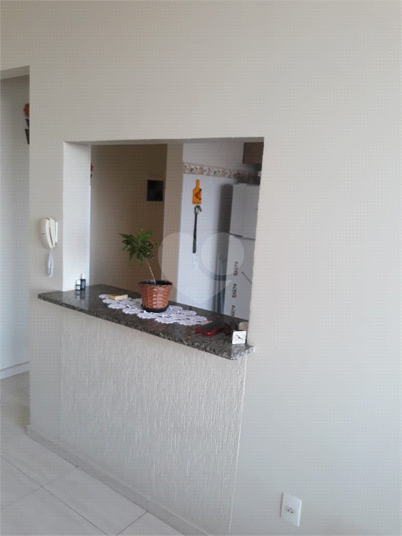 Venda Apartamento Indaiatuba Jardim Alice REO975487 11