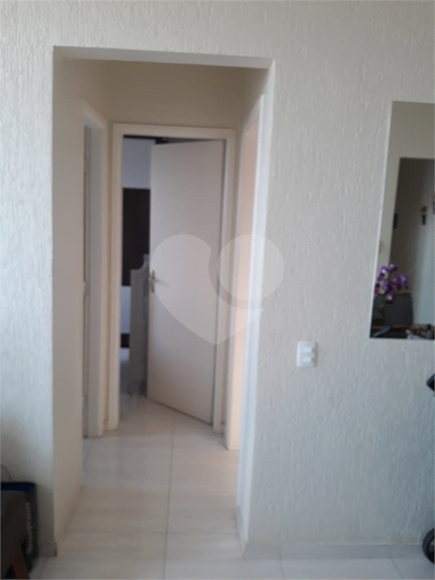 Venda Apartamento Indaiatuba Jardim Alice REO975487 12