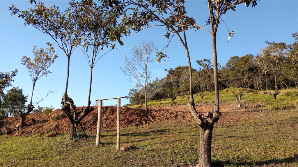 Venda Sítio Mogi Das Cruzes Cézar De Souza REO975713 3