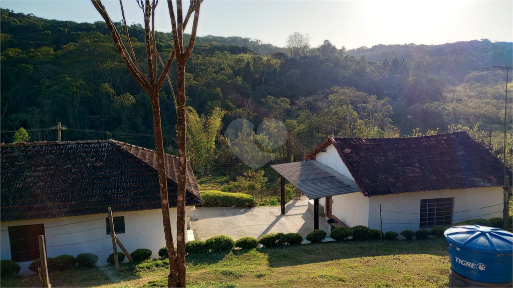 Venda Sítio Mogi Das Cruzes Cézar De Souza REO975713 2