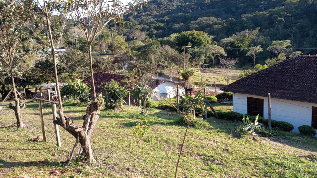 Venda Sítio Mogi Das Cruzes Cézar De Souza REO975713 13