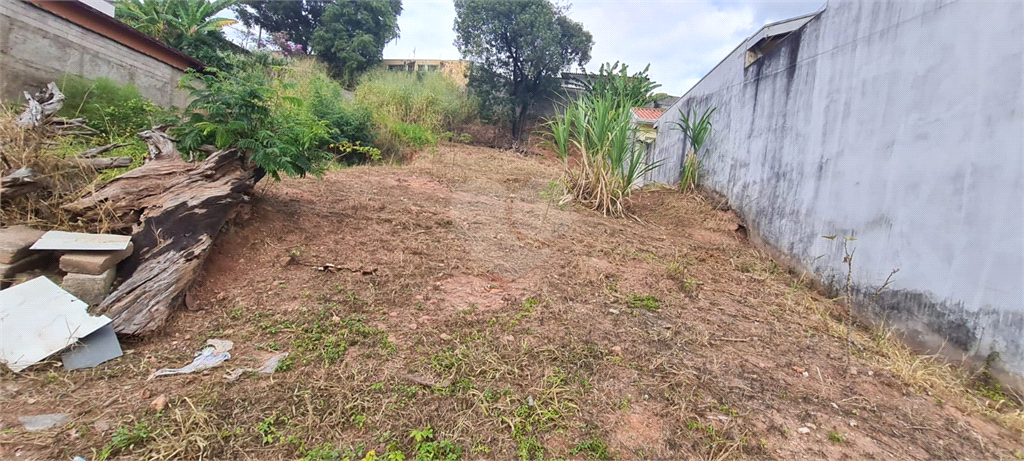 Venda Terreno Valinhos Jardim Alto Da Boa Vista REO976015 6