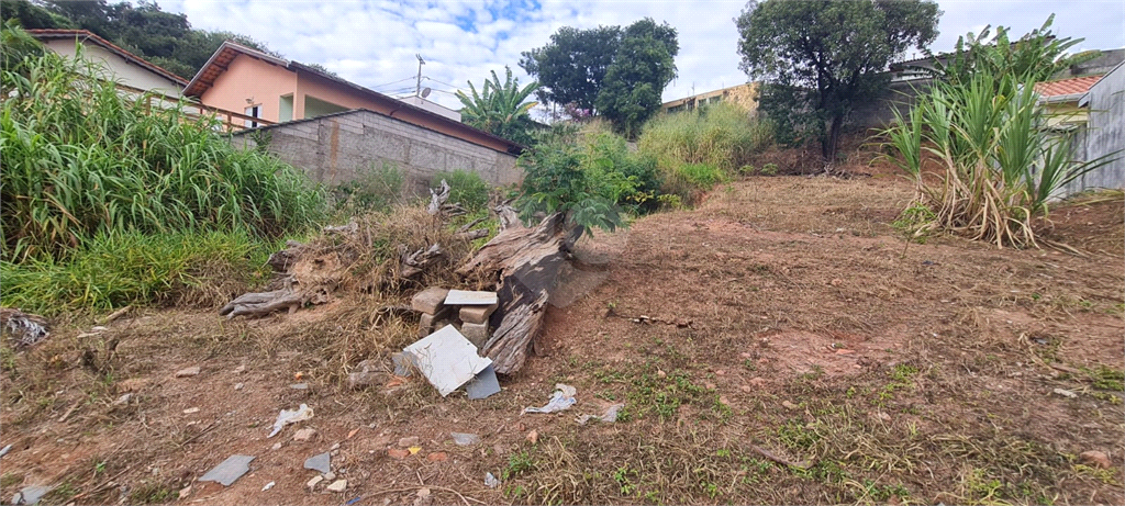 Venda Terreno Valinhos Jardim Alto Da Boa Vista REO976015 12