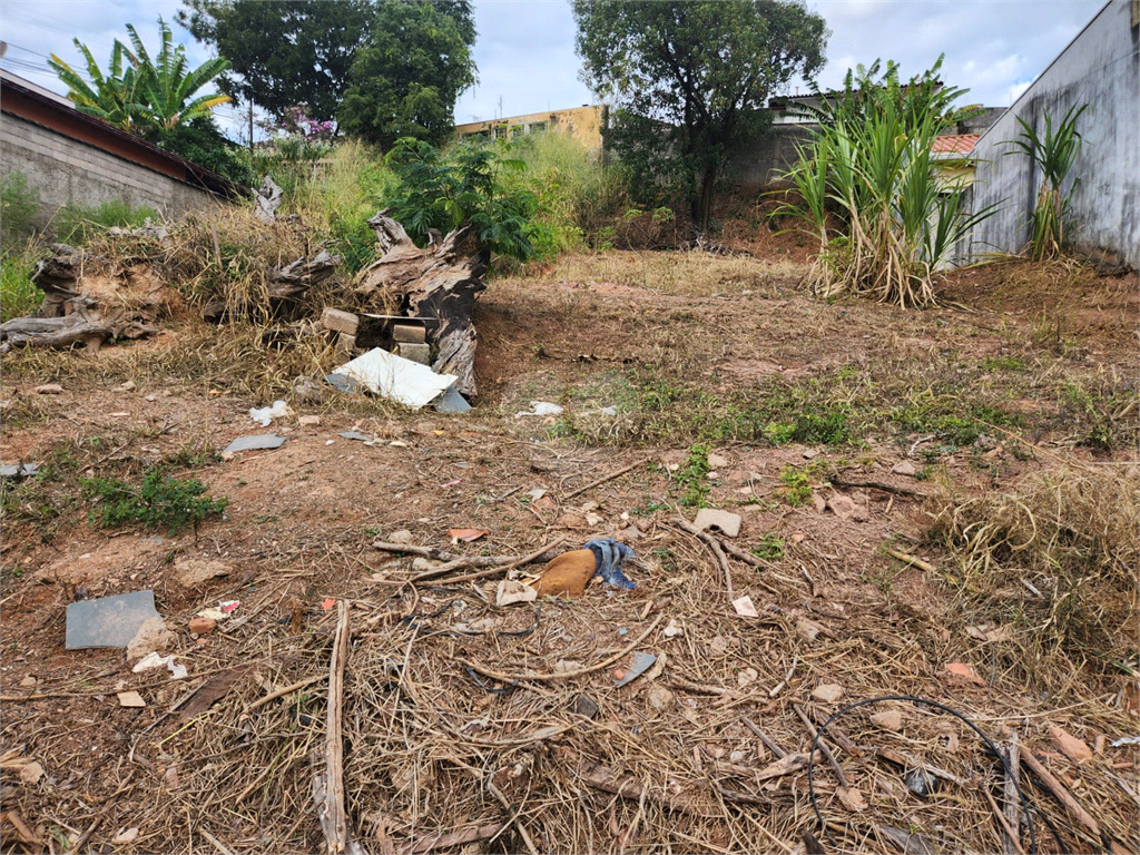 Venda Terreno Valinhos Jardim Alto Da Boa Vista REO976015 19