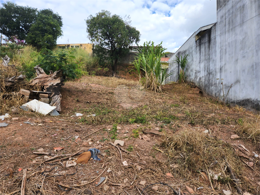 Venda Terreno Valinhos Jardim Alto Da Boa Vista REO976015 13