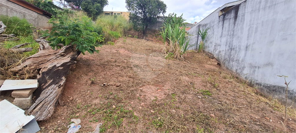 Venda Terreno Valinhos Jardim Alto Da Boa Vista REO976015 11