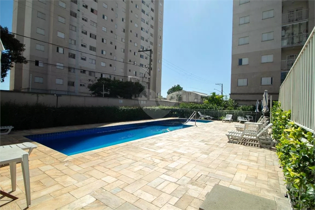 Venda Apartamento São Paulo Vila Constança REO976268 30