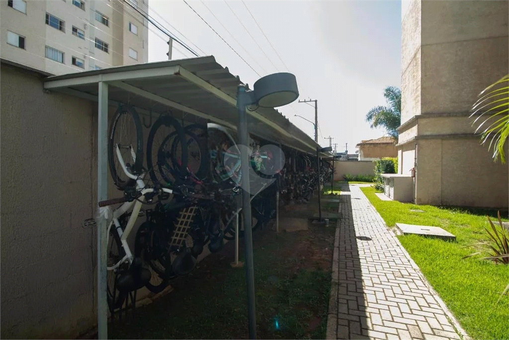 Venda Apartamento São Paulo Vila Constança REO976268 46