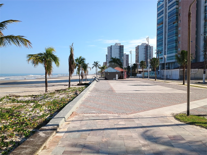 Foto REO976578