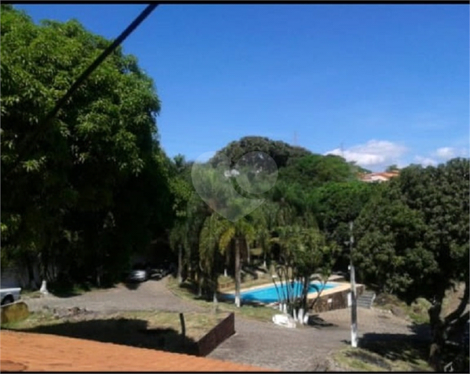 Foto REO977146