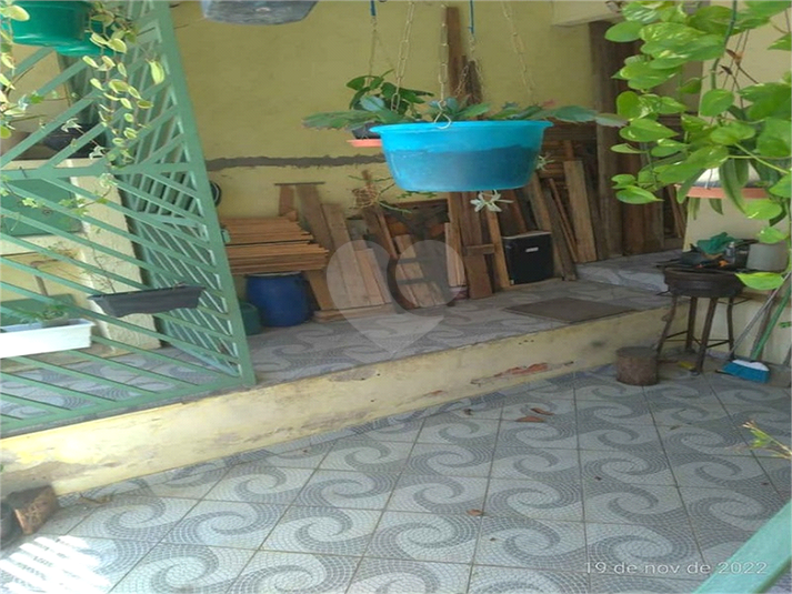 Foto REO977169