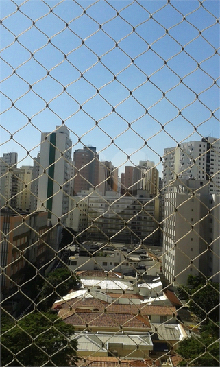 Foto REO977328