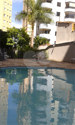 Foto REO977328