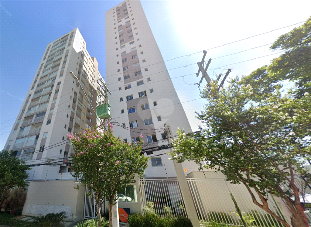 Aluguel Apartamento São Paulo Parque Industrial Tomas Edson REO977763 15