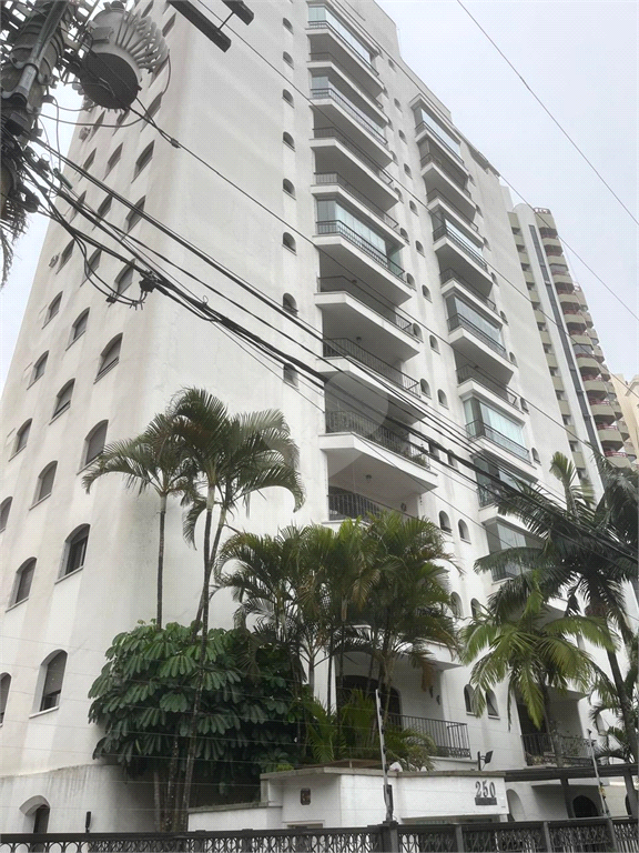 Venda Apartamento São Paulo Jardim Avelino REO977927 22